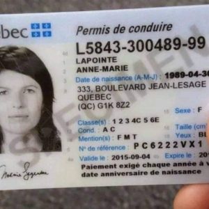 Canadian dirvers License 1
