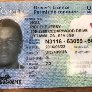 Buy registered Canadian drivers license