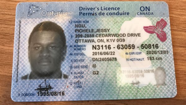 Buy registered Canadian drivers license