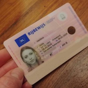 Buy Dutch drivers License Online