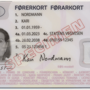 Buy Norwegian drivers license