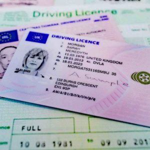 Buy Drivers License